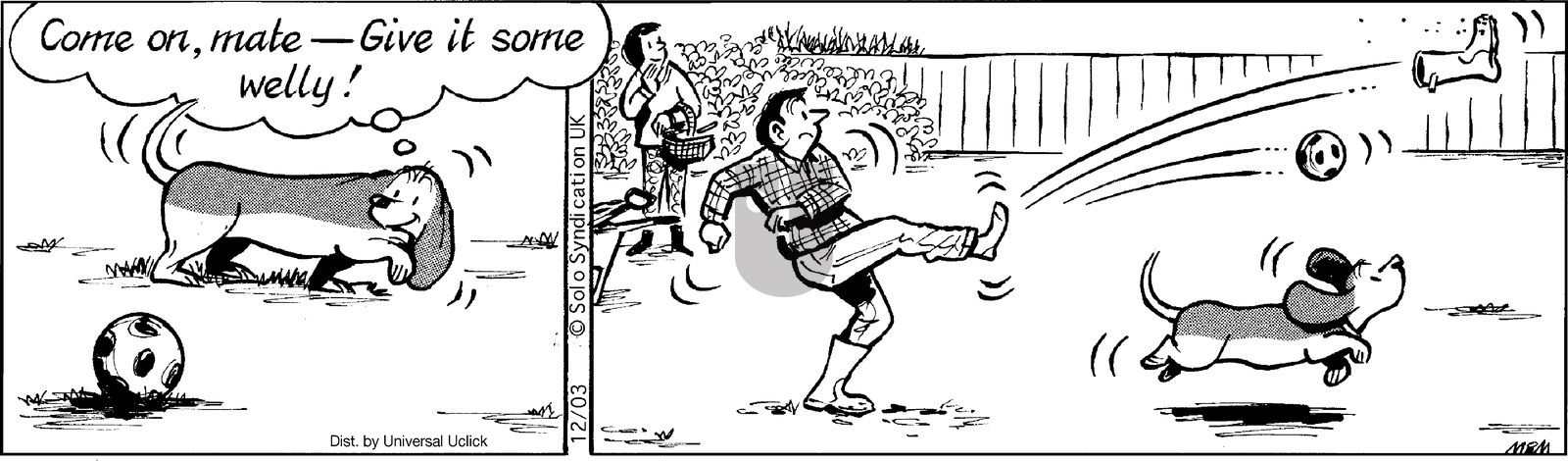 Fred Basset on Wednesday December 3, 2014 Comic Strip