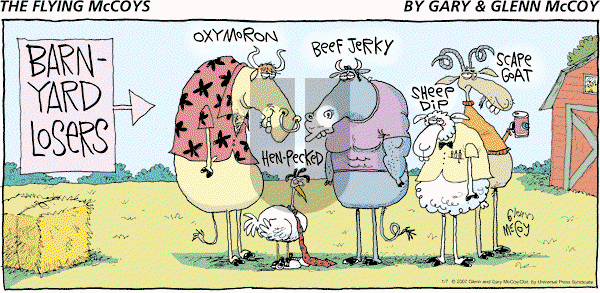 The Flying McCoys on Sunday January 7, 2007 Comic Strip
