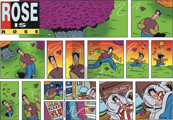 Rose is Rose on Sunday October 14, 2018 Comic Strip
