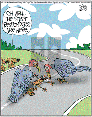 The Flying McCoys on Friday January 18, 2019 Comic Strip