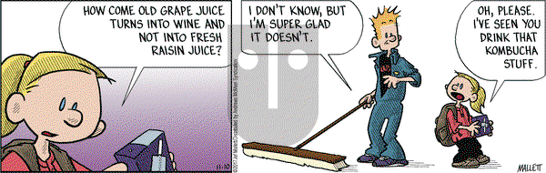 Frazz on Friday November 10, 2017 Comic Strip