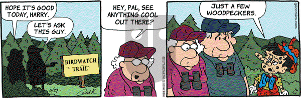 Lola on Tuesday June 27, 2017 Comic Strip