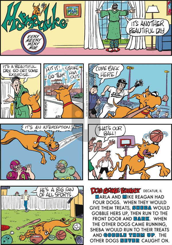 Marmaduke on Sunday June 20, 2021 Comic Strip