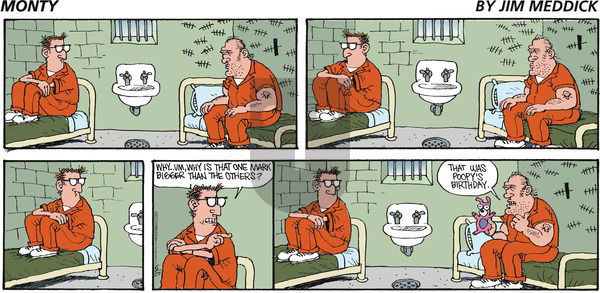 Monty on Sunday June 25, 2017 Comic Strip