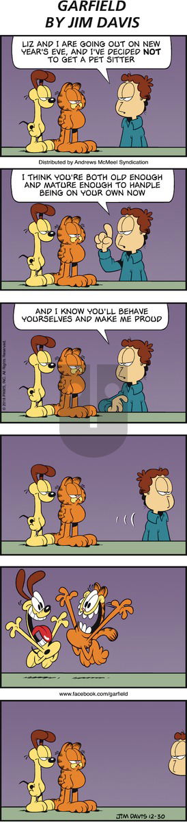 Garfield on Sunday December 30, 2018 Comic Strip