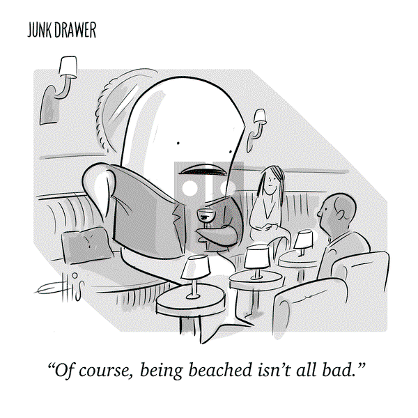 Junk Drawer on Friday May 6, 2022 Comic Strip