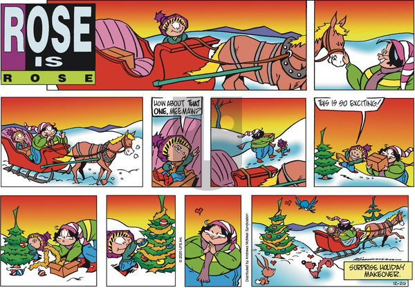 Rose is Rose on Sunday December 20, 2020 Comic Strip