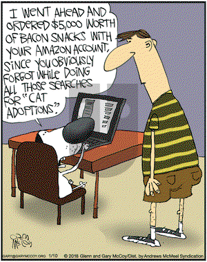 The Flying McCoys on Wednesday January 10, 2018 Comic Strip