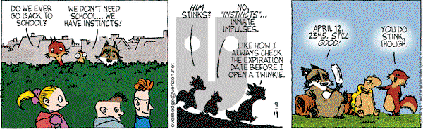 Over the Hedge on Monday September 14, 2009 Comic Strip