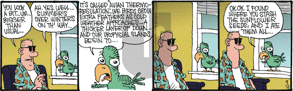 Monty on Saturday September 18, 2021 Comic Strip