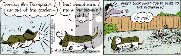 Fred Basset on Thursday June 11, 2015 Comic Strip
