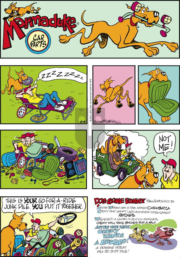 Marmaduke on Sunday August 16, 2015 Comic Strip