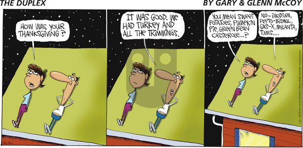The Duplex on Sunday November 25, 2018 Comic Strip