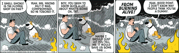 Rip Haywire on Thursday July 26, 2018 Comic Strip