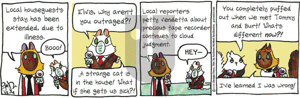 Breaking Cat News on Wednesday December 4, 2019 Comic Strip