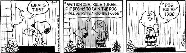 Peanuts - Monday June 6, 1988 Comic Strip