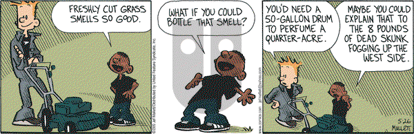 Frazz on Tuesday May 26, 2009 Comic Strip