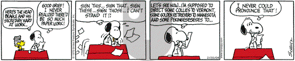 Peanuts on Friday February 20, 2004 Comic Strip
