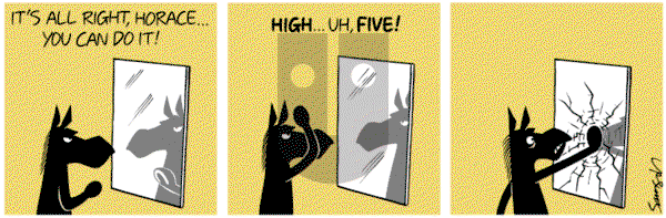 Dark Side of the Horse on Wednesday December 9, 2015 Comic Strip