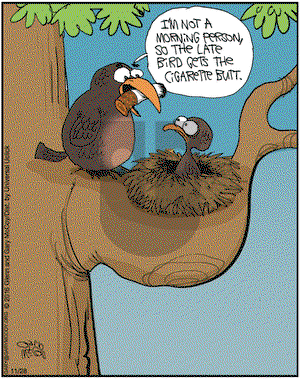 The Flying McCoys on Monday November 28, 2016 Comic Strip