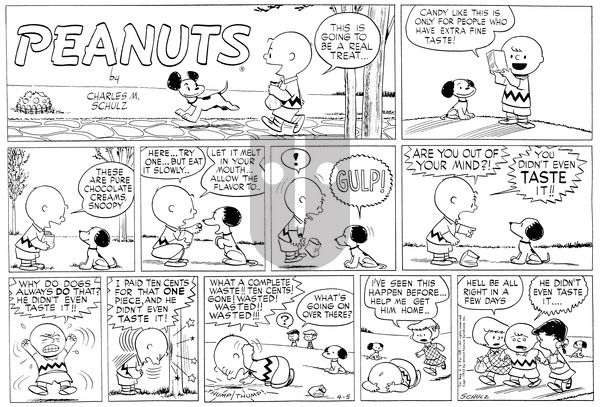 Peanuts on Sunday April 5, 1953 Comic Strip