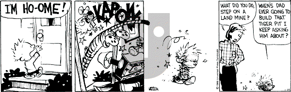 Calvin and Hobbes - Tuesday November 29, 1988 Comic Strip