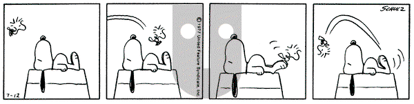Peanuts on Tuesday July 12, 1977 Comic Strip