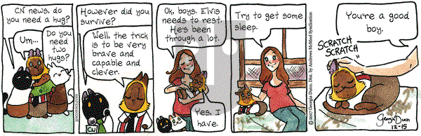 Breaking Cat News on Friday December 15, 2017 Comic Strip