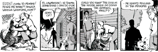 For Better or For Worse on Monday July 1, 1996 Comic Strip