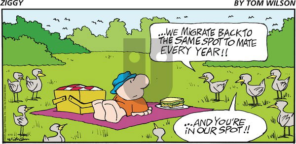 Ziggy on Sunday April 19, 2020 Comic Strip