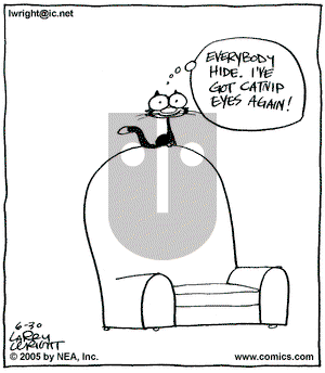 Kit 'N' Carlyle on Thursday June 30, 2005 Comic Strip