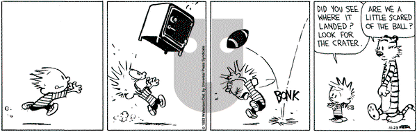 Calvin and Hobbes on Saturday October 23, 1993 Comic Strip