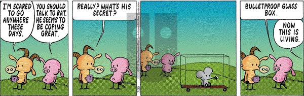 Pearls Before Swine on Tuesday July 30, 2019 Comic Strip