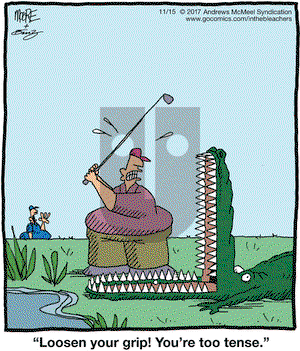 In the Bleachers on Wednesday November 15, 2017 Comic Strip