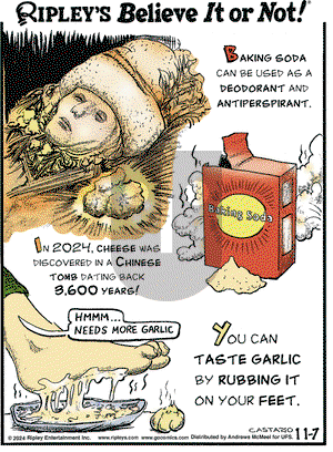 Ripley's Believe It or Not - Thursday November 7, 2024 Comic Strip
