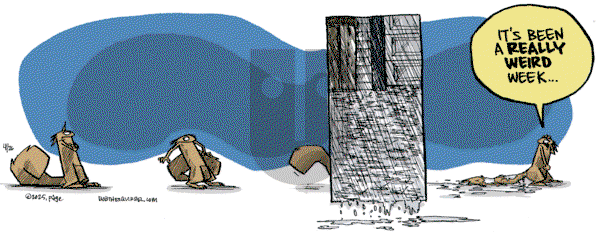 Bob the Squirrel on Saturday April 26, 2025 Comic Strip