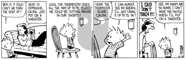 Calvin and Hobbes on Tuesday December 30, 1986 Comic Strip