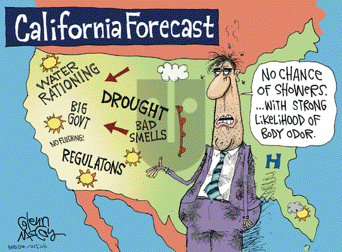 Glenn McCoy on Wednesday April 8, 2015 Comic Strip