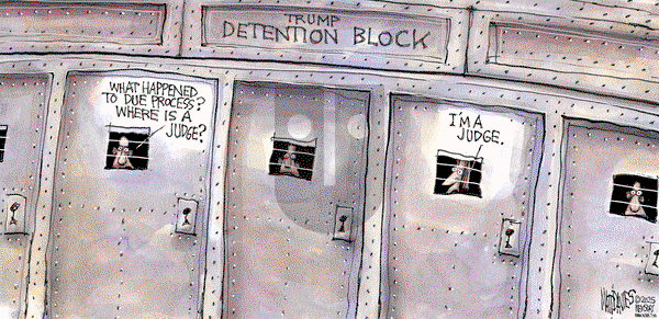 Matt Davies on Tuesday May 27, 2025 Comic Strip