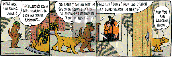 Overboard on Friday February 1, 2008 Comic Strip