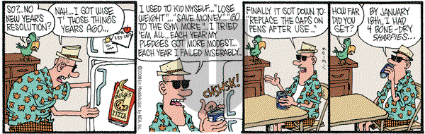 Monty - Saturday January 3, 2009 Comic Strip