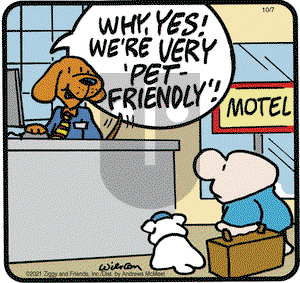 Ziggy on Thursday October 7, 2021 Comic Strip