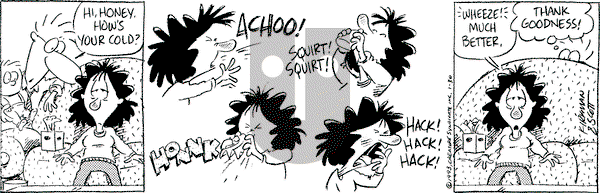 Baby Blues on Saturday January 30, 1993 Comic Strip