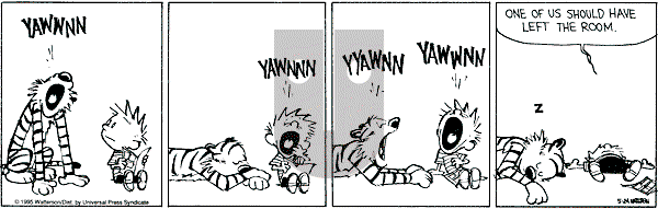 Calvin and Hobbes - Wednesday May 24, 1995 Comic Strip