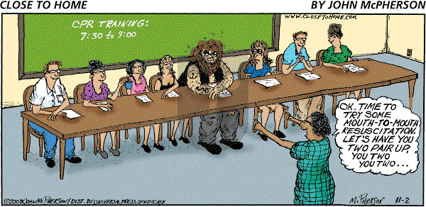 Close to Home on Sunday November 2, 2008 Comic Strip
