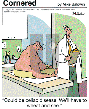 Cornered on Wednesday November 20, 2013 Comic Strip