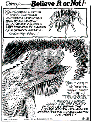 Ripley's Believe It or Not on Monday August 13, 2001 Comic Strip