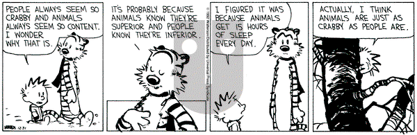 Calvin and Hobbes on Thursday December 31, 1992 Comic Strip