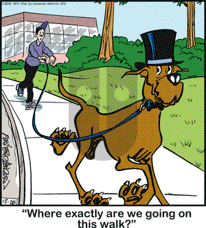 Marmaduke on Wednesday December 28, 2016 Comic Strip