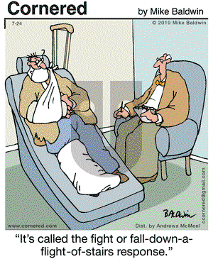 Cornered on Wednesday July 24, 2019 Comic Strip